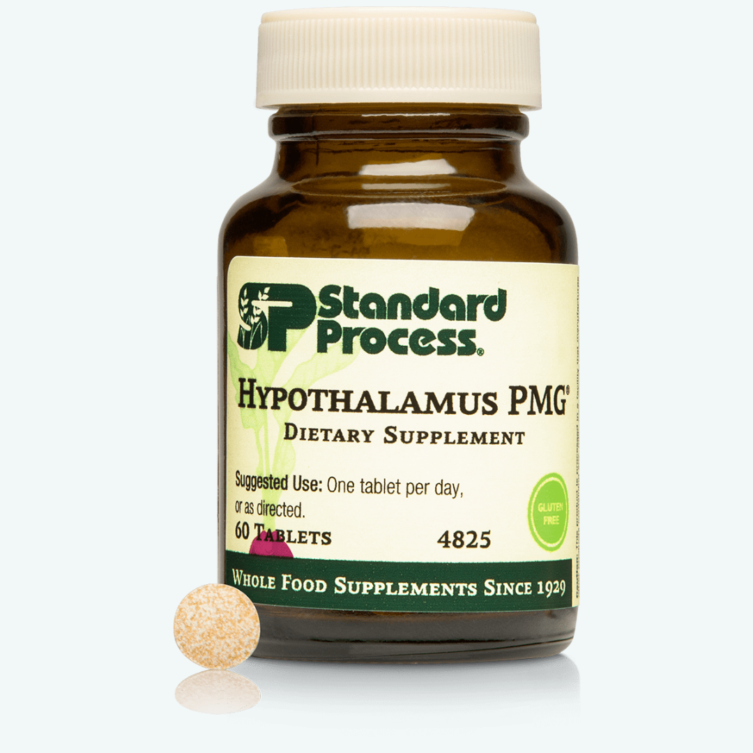 Hypothalamus PMG