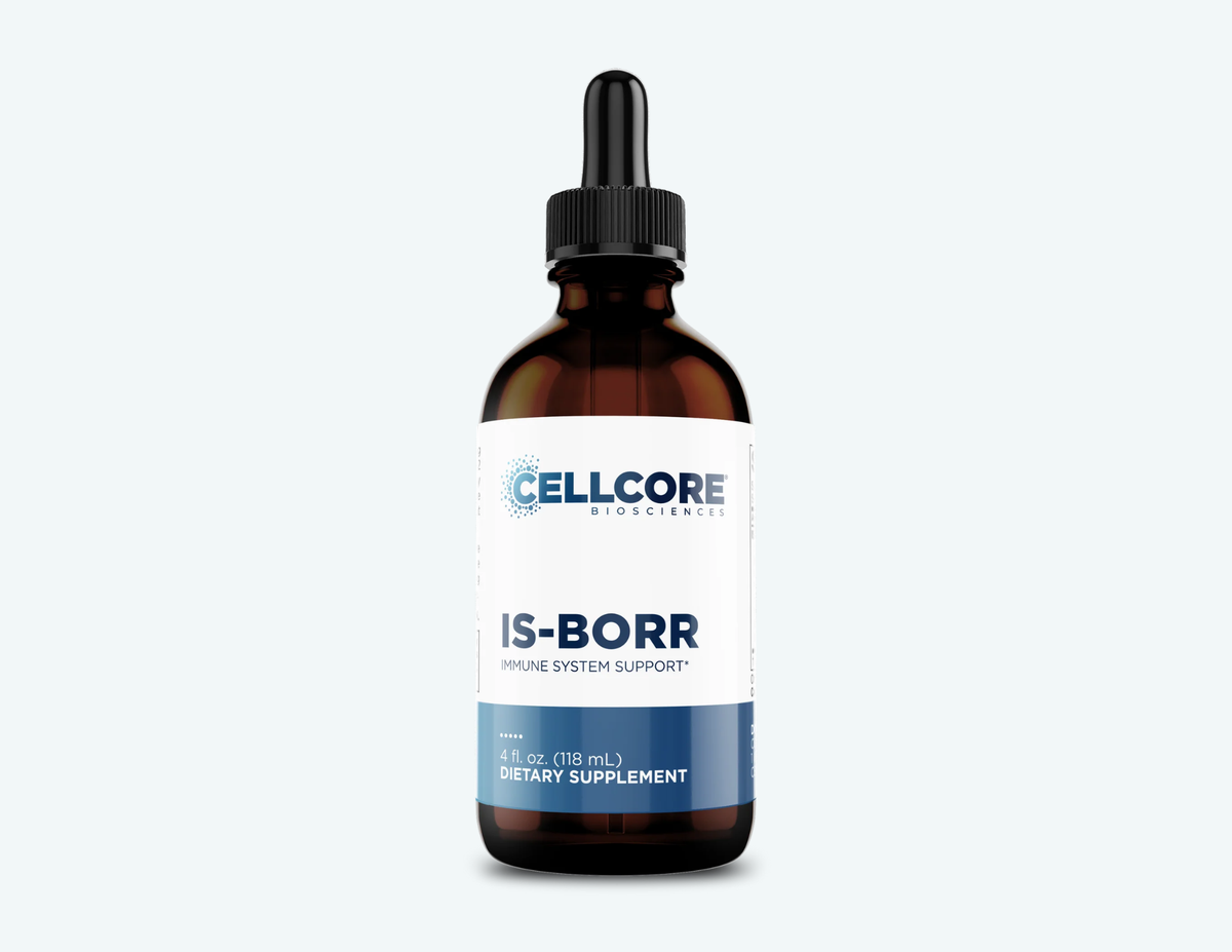 IS-BORR